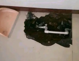 九寨沟卫生间测漏水多少钱